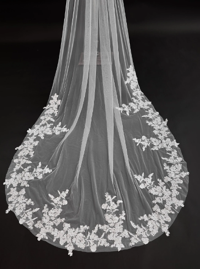 White Floral Lace Trim Long Cathedral Veil One Tier