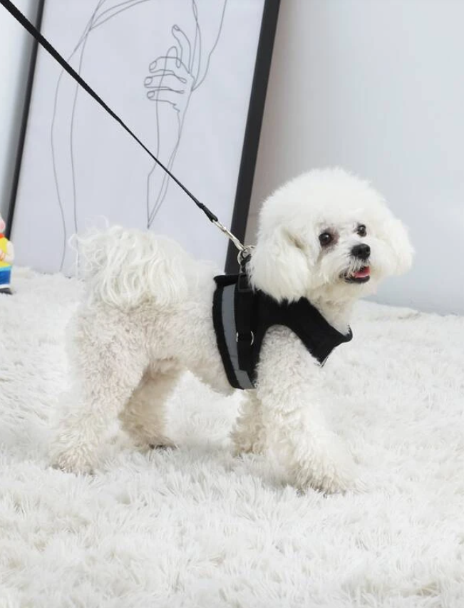 Black Breathable Mesh Dog Harness & Leash Reflective Strip