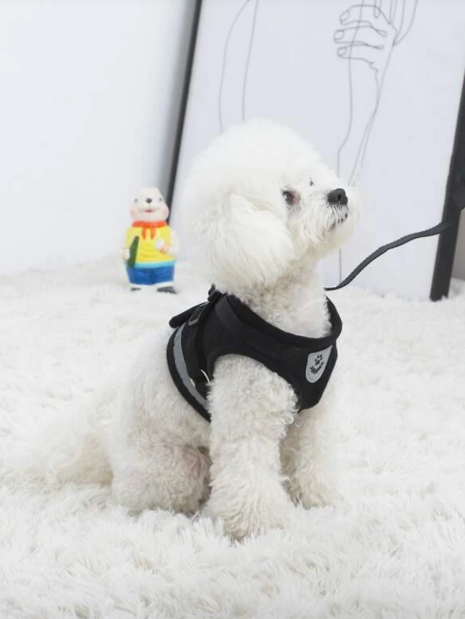 Black Breathable Mesh Dog Harness & Leash Reflective Strip