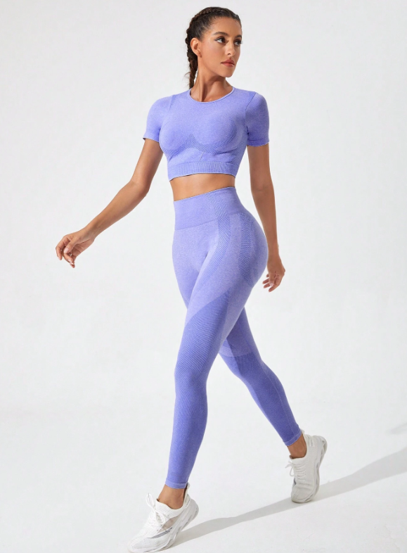 Gym Bunny Purple Alexis 2 Piece Short Sleeve Gym Set