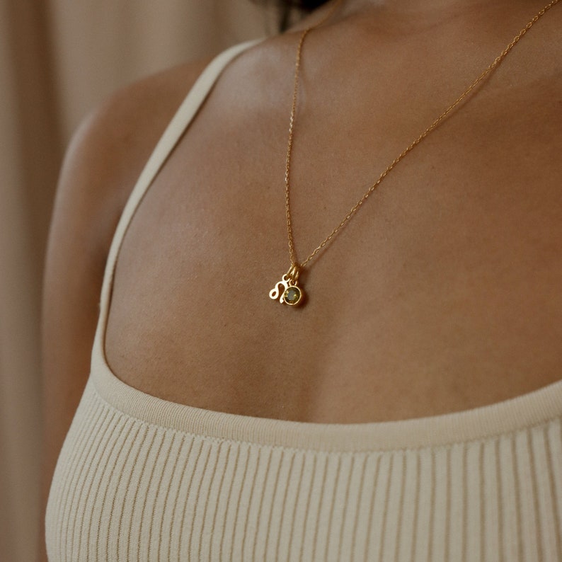 Zara Zodiac Starsign Necklace
