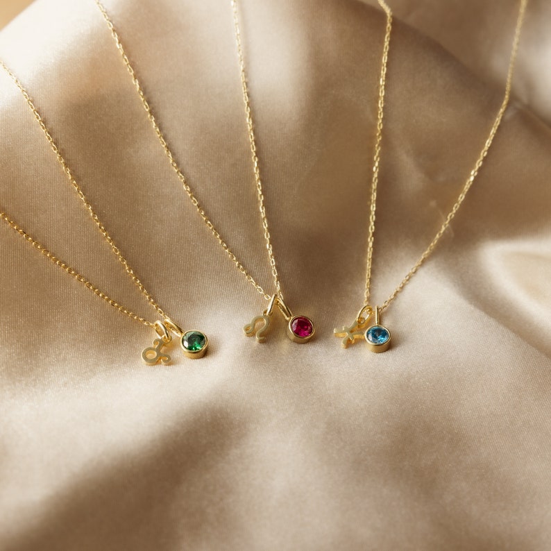 Zara Zodiac Starsign Necklace